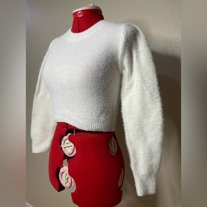 Long sleeve, fuzzy fur top.